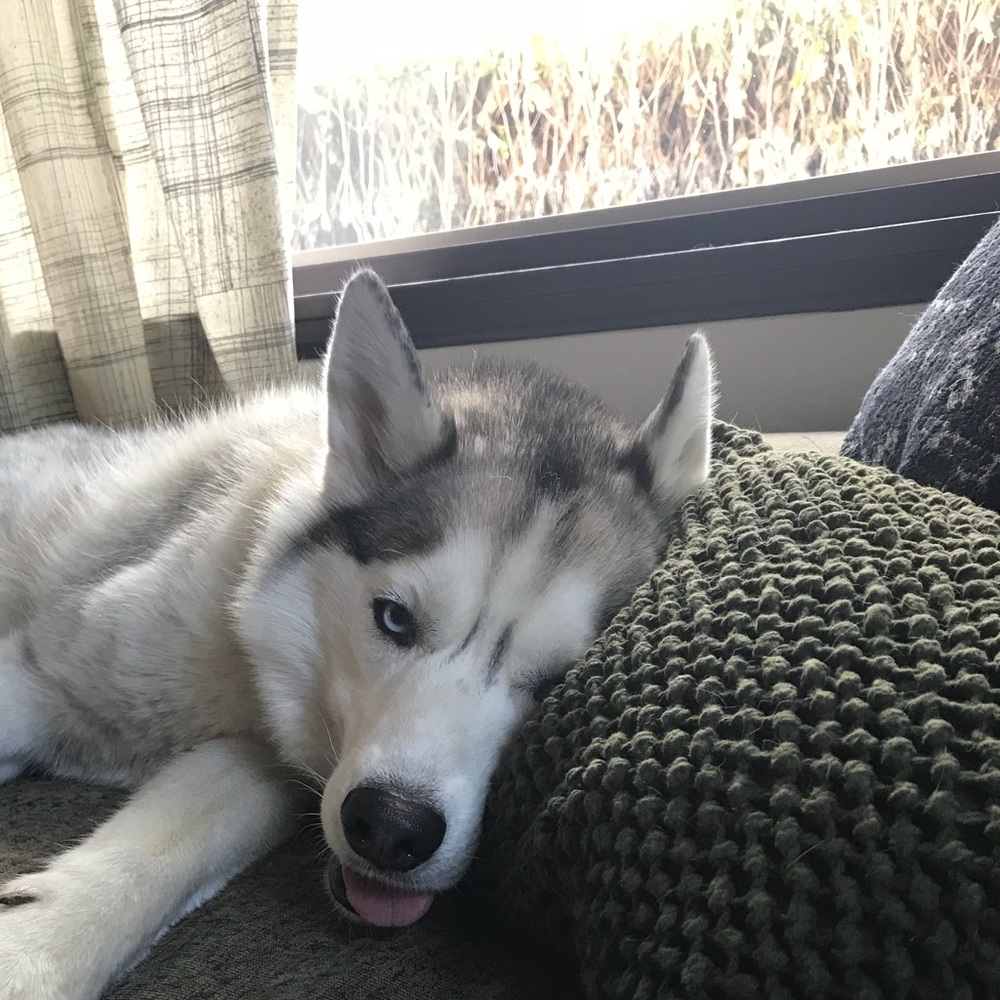 Meet your Posher, Jeffrey